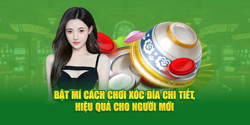 Bật Mí Cách Chơi Xóc Đĩa Chi Tiết, Hiệu Quả Cho Người Mới